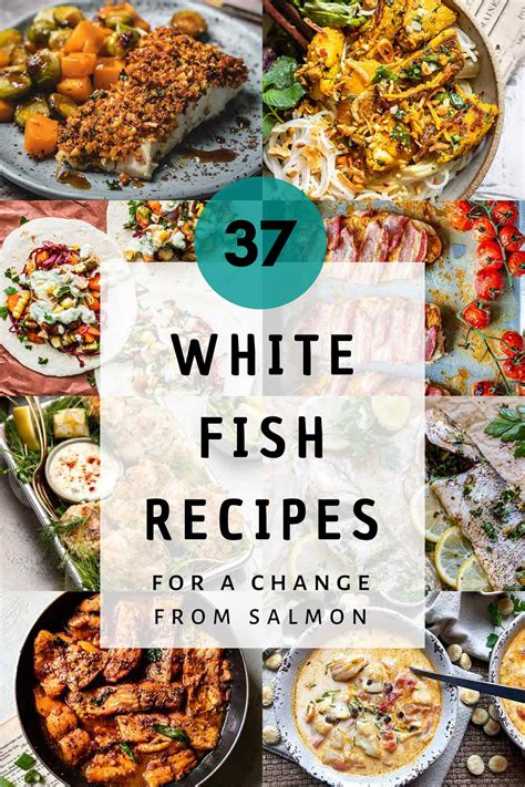 37-delicious-white-fish-recipes-for-a-change-from-salmon image