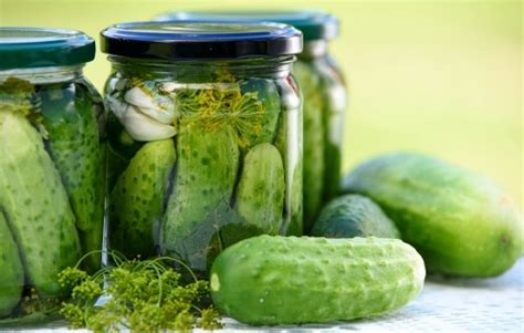 garlic-dill-pickles-recipe-home-canned-or-quick-pickled image