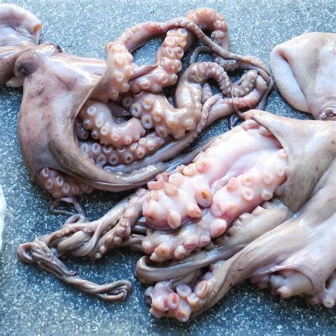 grilled-octopus-garlic-zest image