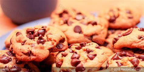 passover-chocolate-chip-cookies image