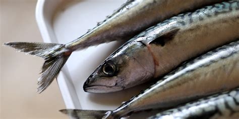 how-to-cook-mackerel image