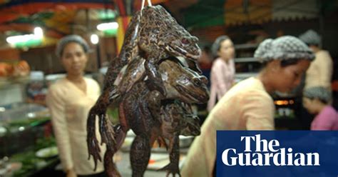 why-we-shouldnt-eat-frogs-legs-food-the-guardian image