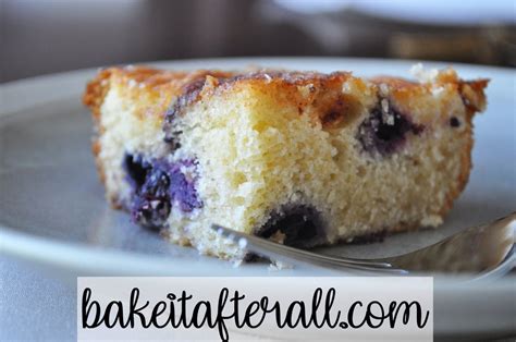blueberry-boy-bait-youre-gonna-bake-it-after-all image