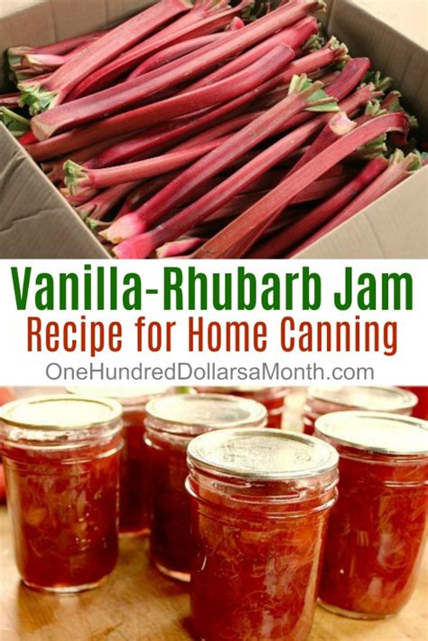 vanilla-rhubarb-jam-one-hundred-dollars-a-month image