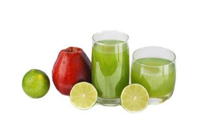 lemon-apple-juice-juice-guru-institute image