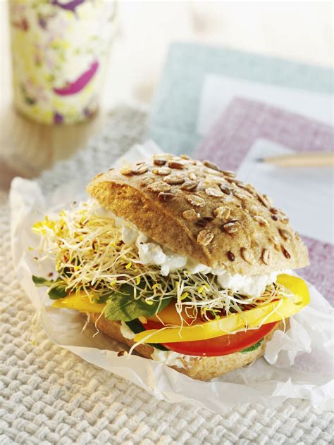 healthy-vegetable-and-cottage-cheese-sandwich-eat image