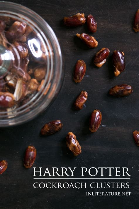 cockroach-cluster-harry-potter-in-literature image