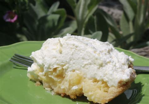 easy-southern-coconut-pie-recipe-simply-southern image