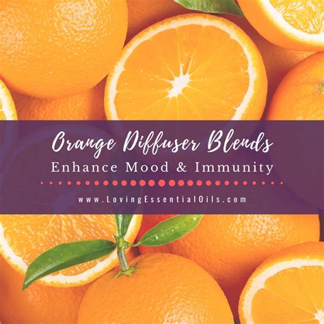 orange-diffuser-blends-10-blissful-essential-oil image