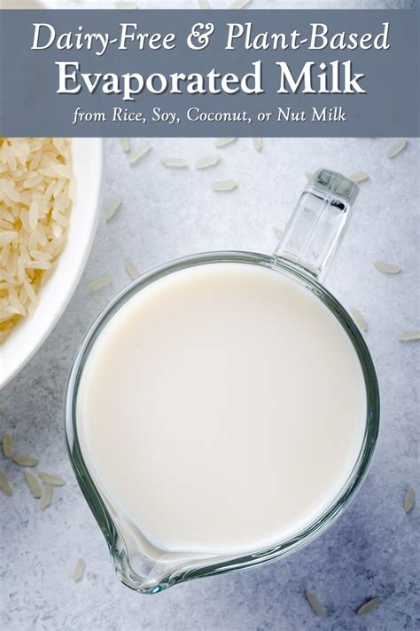 dairy-free-evaporated-milk-substitute-recipe-easy image