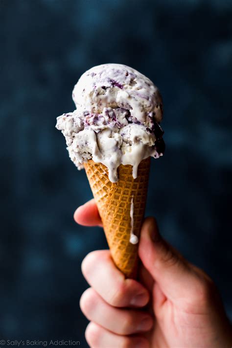 blueberry-crumble-ice-cream-sallys-baking-addiction image