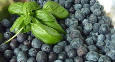 blueberry-goat-cheese-and-basil-pie image
