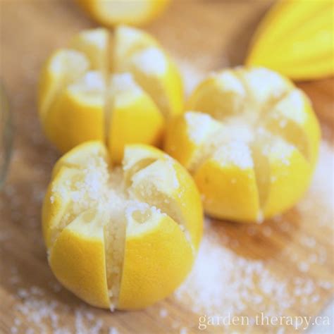 preserved-lemons-recipe-garden-therapy image