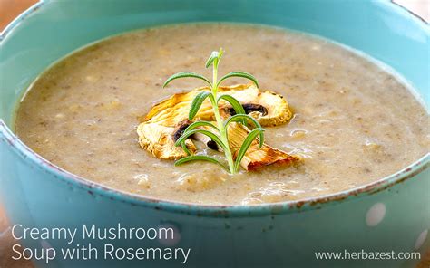 creamy-mushroom-soup-with-rosemary-herbazest image