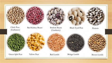 dried-legumes-cooking-and-handling-the-culinary-pro image