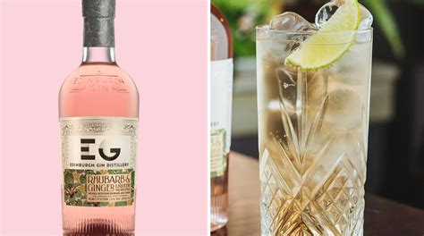 5-enticing-gin-and-ginger-ale-cocktails image
