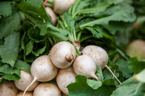 how-to-use-turnip-greens-and-beet-greens-foodprint image