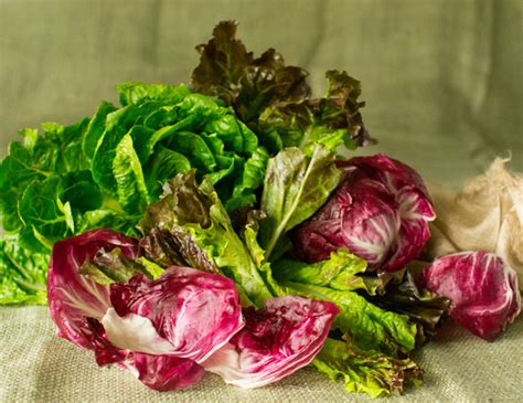 the-three-rs-of-salad-romaine-red-leaf-and-radicchio image