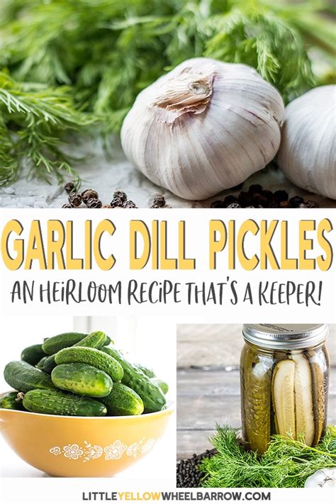how-to-make-perfectly-crunchy-homemade-dill-pickles image