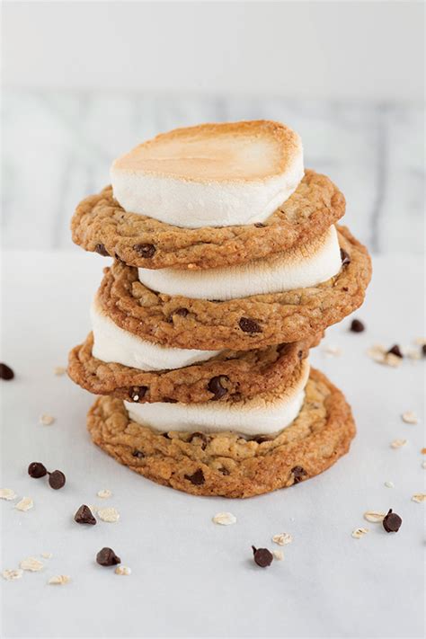 oatmeal-chocolate-chip-smores-cookies-the-cake image