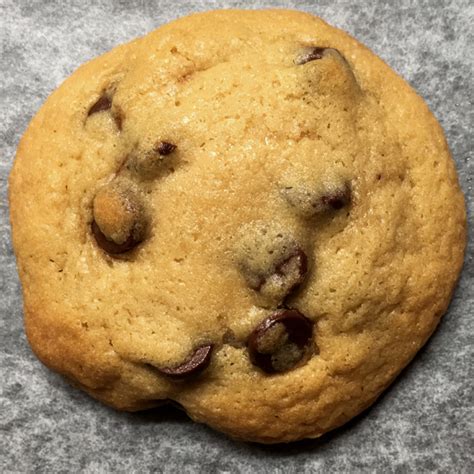 classic-chewy-chocolate-chip-cookies-a-day-in-the image
