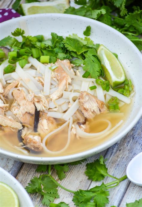 easy-crockpot-chicken-pho-4-sons-r-us image