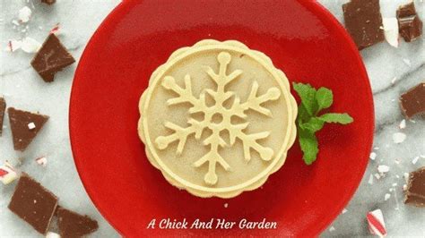 chocolate-peppermint-soap-recipe-a-chick-and-her image