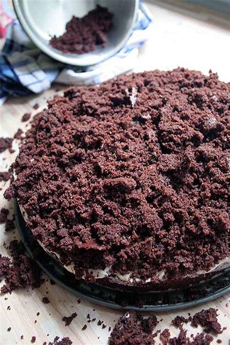 the-absolute-best-chocolate-german-mole-cake image