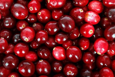cranberry-simple-indian image