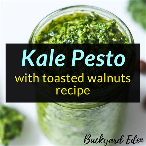 kale-pesto-with-toasted-walnuts-recipe-backyard-eden image