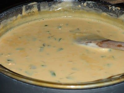 sassy-in-the-kitchen-casa-ole-queso-copy-cat-pinterest image