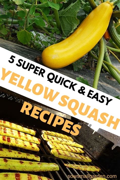 5-yellow-squash-recipes-super-quick-and-easy image