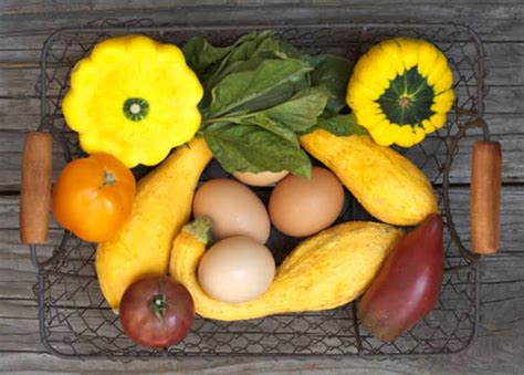recipe-summer-squash-shakshuka-with-baked-eggs-kitchn image