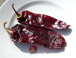 new-mexican-cuisine-wikipedia image