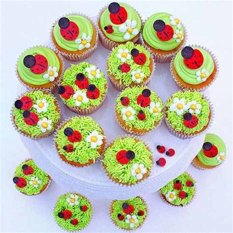 ladybug-and-flower-cupcakes-better-homes-gardens image