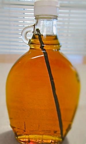 vanilla-maple-syrup image