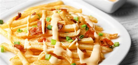 cheese-fries-traditional-side-dish-from-united-states-of image