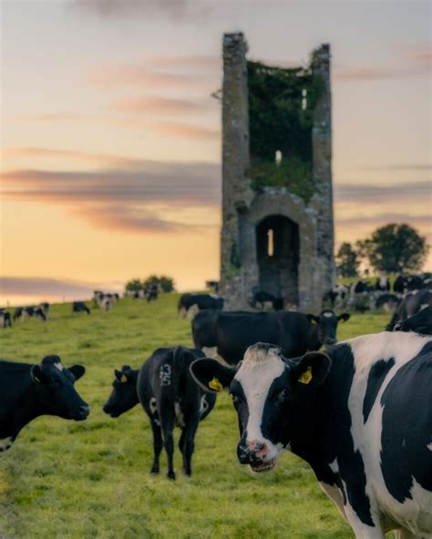 food-for-thought-tipperary-tourism image