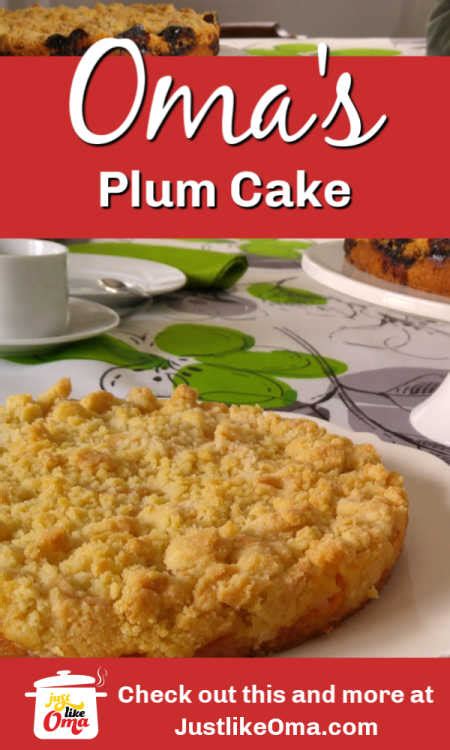 german-plum-cake-recipe-streusel-pflaumenkuchen image