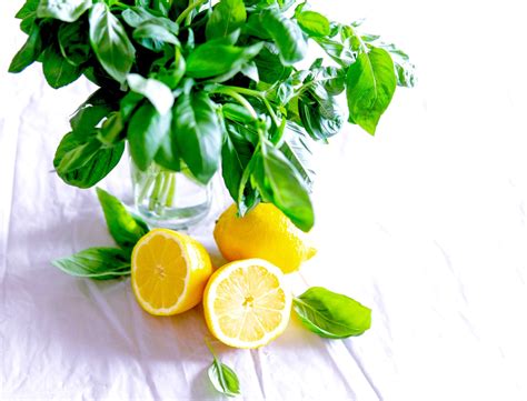 recipes-lemon-basil-butter image