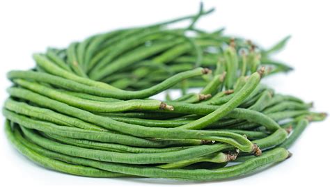 china-long-beans-information-recipes-and-facts image