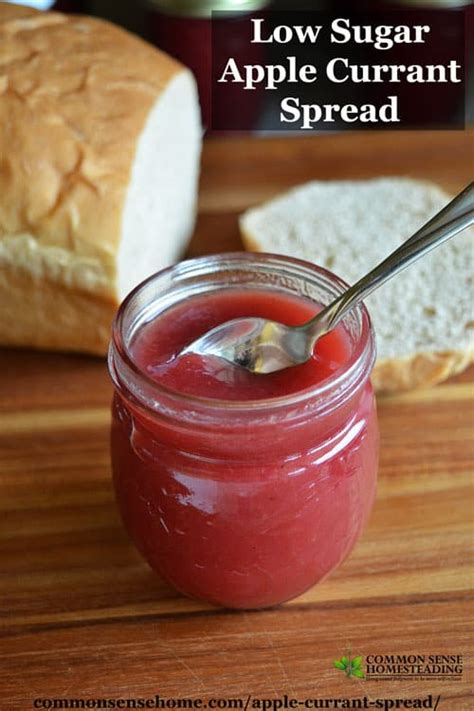 homemade-jams-jellies-and-spreads-common-sense image