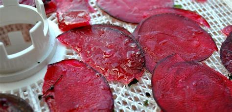 the-easiest-methods-of-dehydrating-beets-drying-all image