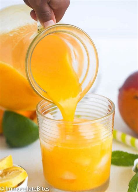 mango-lemonade-immaculate-bites image