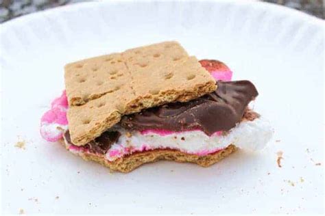 easter-peeps-campfire-smores-recipe-for-camping image