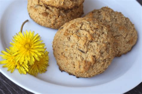 dandelion-peanut-butter-cookies-homespun-seasonal image