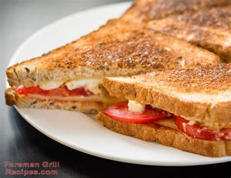 foreman-grill-recipes-quick-and-easy-turkey-melt image