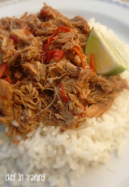 slow-cooker-thai-pork-with-peanut-sauce-chef-in-training image