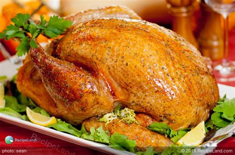 herb-roasted-turkey-recipe-recipelandcom image