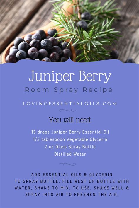 juniper-berry-essential-oil-uses-benefits-and image